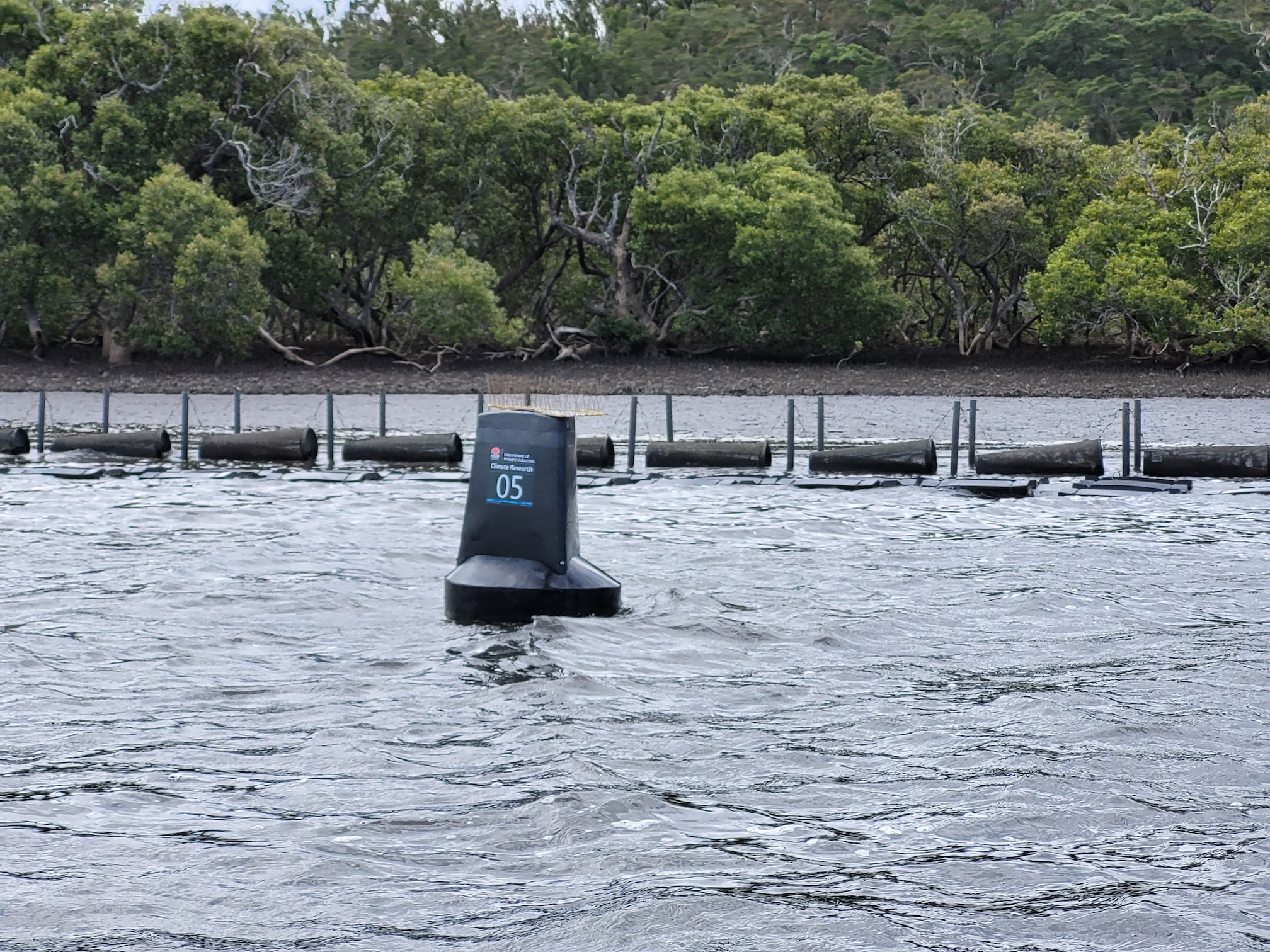 A scientific buoy in a the Clyde river.